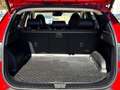 Hyundai TUCSON 1.6T 158kW (215CV) HEV AT Tecno Sky Rouge - thumbnail 13