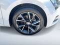 Skoda Superb Style TDI DSG Weiß - thumbnail 6