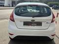 Ford Fiesta NEOPATENTATI 5p 1.2 16v + 82cv Blanc - thumbnail 5