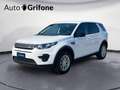 Land Rover Discovery Sport Discovery Sport 2.0 TD4 150 CV SE Grigio - thumbnail 1