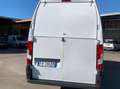 Fiat Ducato maxi super lungo e super alto l4H3 Bianco - thumbnail 3