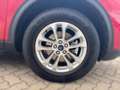 Ford Kuga 2.5 Duratec PHEV Titanium Navi+SHZ+Kam+AHK Rosso - thumbnail 8