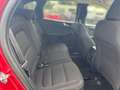 Ford Kuga 2.5 Duratec PHEV Titanium Navi+SHZ+Kam+AHK Rosso - thumbnail 13
