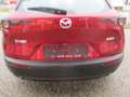 Mazda CX-30 /G140/AT/Centre-Line Modell 2025 Rot - thumbnail 7