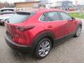 Mazda CX-30 /G140/AT/Centre-Line Modell 2025 Rot - thumbnail 6