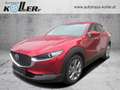 Mazda CX-30 /G140/AT/Centre-Line Modell 2025 Rot - thumbnail 1