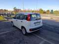 Fiat Panda Panda 1.2 Easy Fire - thumbnail 4