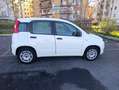 Fiat Panda Panda 1.2 Easy Fire - thumbnail 7