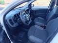 Fiat Panda Panda 1.2 Easy Fire - thumbnail 12