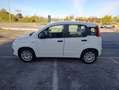 Fiat Panda Panda 1.2 Easy Fire - thumbnail 3