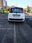 Fiat Panda Panda 1.2 Easy Fire - thumbnail 5