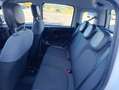 Fiat Panda Panda 1.2 Easy Fire - thumbnail 14