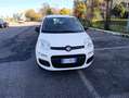 Fiat Panda Panda 1.2 Easy Fire - thumbnail 1