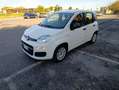 Fiat Panda Panda 1.2 Easy Fire - thumbnail 2