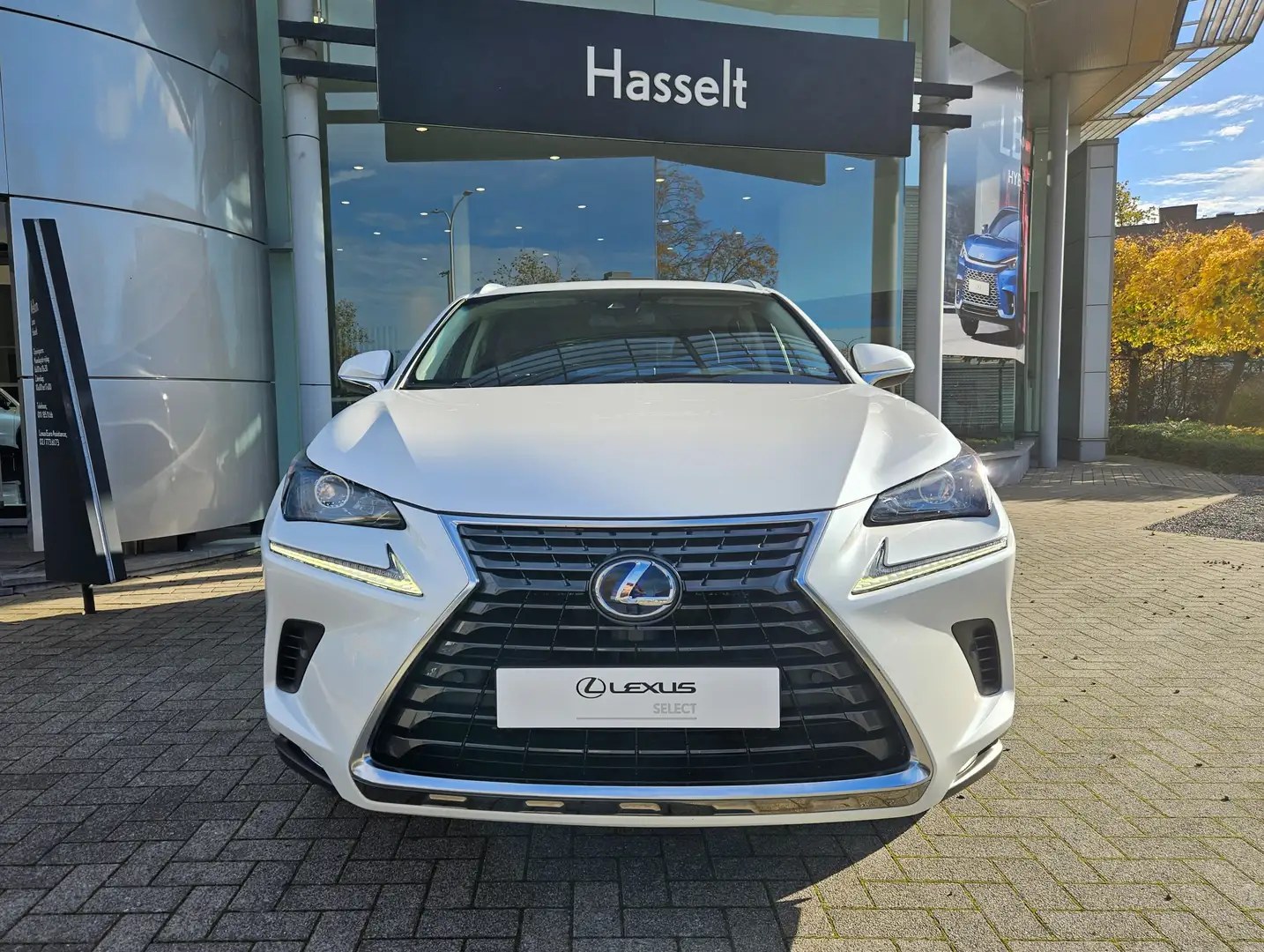 Lexus NX 300h NX 300 AWD Executive Line Wit - 2