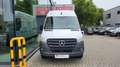 Mercedes-Benz Sprinter 317 CDI ~ 31.500 ex. ~ L2H2 ~ CC ~ Navi ~ CarPlay Blanc - thumbnail 2
