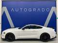Ford Mustang Fastback 2.3 EcoBoost Bianco - thumbnail 2