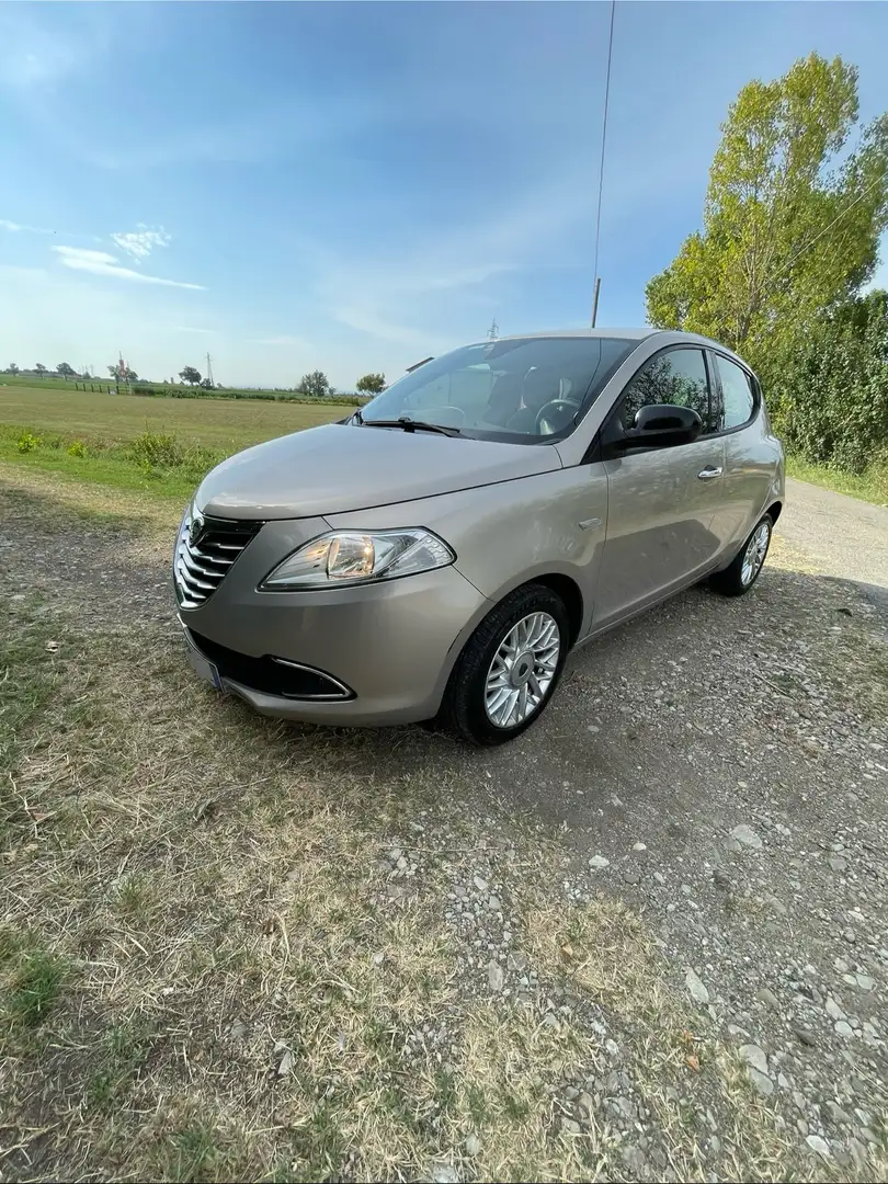 Lancia Ypsilon 1.3 mjt Gold s&s 95cv - 1