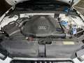 Audi A5 A5 3.0 TDI DPF multitronic Weiß - thumbnail 9