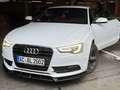 Audi A5 A5 3.0 TDI DPF multitronic Weiß - thumbnail 1