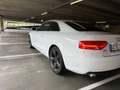 Audi A5 A5 3.0 TDI DPF multitronic Weiß - thumbnail 13