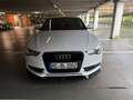 Audi A5 A5 3.0 TDI DPF multitronic Weiß - thumbnail 4