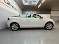 Volkswagen Golf Cabriolet 1,2 TSI Basis BMT TOP ZUSTAND *nur 67 000KM* PDC Weiß - thumbnail 10