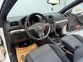 Volkswagen Golf Cabriolet 1,2 TSI Basis BMT TOP ZUSTAND *nur 67 000KM* PDC Weiß - thumbnail 20