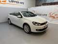 Volkswagen Golf Cabriolet 1,2 TSI Basis BMT TOP ZUSTAND *nur 67 000KM* PDC Weiß - thumbnail 9