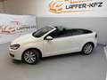 Volkswagen Golf Cabriolet 1,2 TSI Basis BMT TOP ZUSTAND *nur 67 000KM* PDC Weiß - thumbnail 2