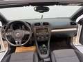 Volkswagen Golf Cabriolet 1,2 TSI Basis BMT TOP ZUSTAND *nur 67 000KM* PDC Weiß - thumbnail 21