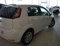 Fiat Punto 1.3Mjt Easy E5+ Blanco - thumbnail 30