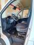 Fiat Ducato Ducato Serie 2 Furgone Lastrato 35q Mh2 140cv 2.2 Blanc - thumbnail 7