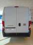 Fiat Ducato Ducato Serie 2 Furgone Lastrato 35q Mh2 140cv 2.2 Blanc - thumbnail 4