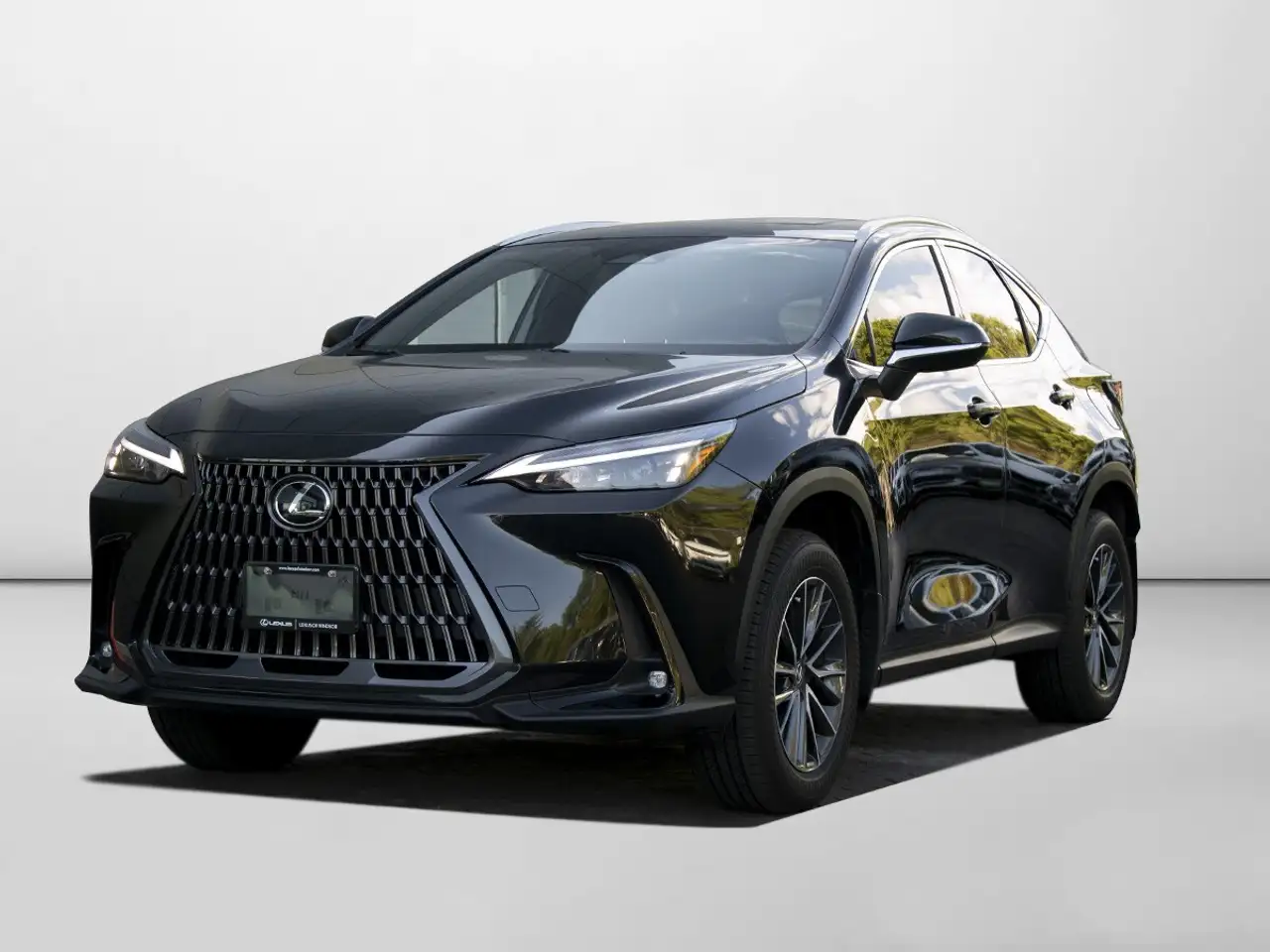 2025 Lexus NX