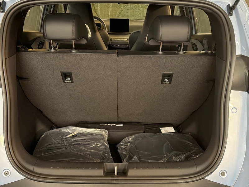 BYD Dolphin DOLPHIN SURF BOOST Panorama Navi Leder 360°K. — photo 15