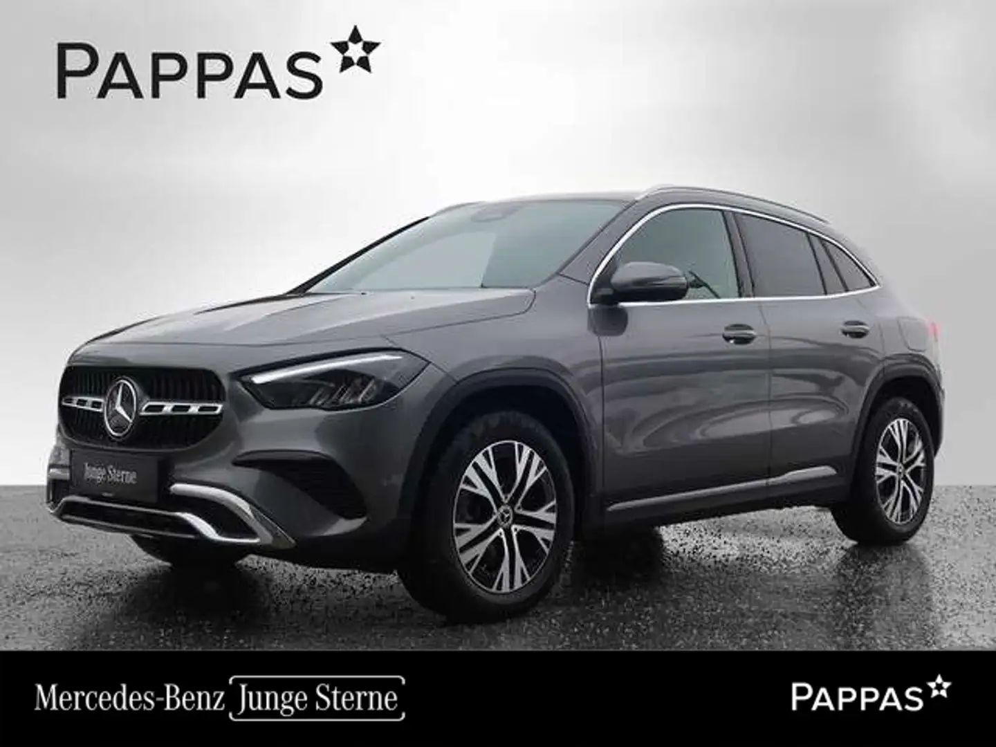 Mercedes-Benz GLA 220 d 4MATIC PTS Cam Wide LED SHZ EASY-PACK Šedá - 1