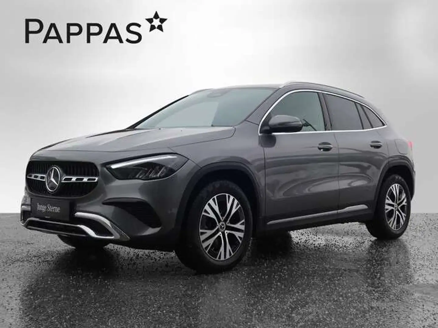 Mercedes-Benz GLA 220 d 4MATIC Wide LED Cam PTS SHZ EASY-PACK Grau - 2