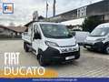 Fiat Ducato PRITSCHE 35 L2 140 MT Белый - thumbnail 1
