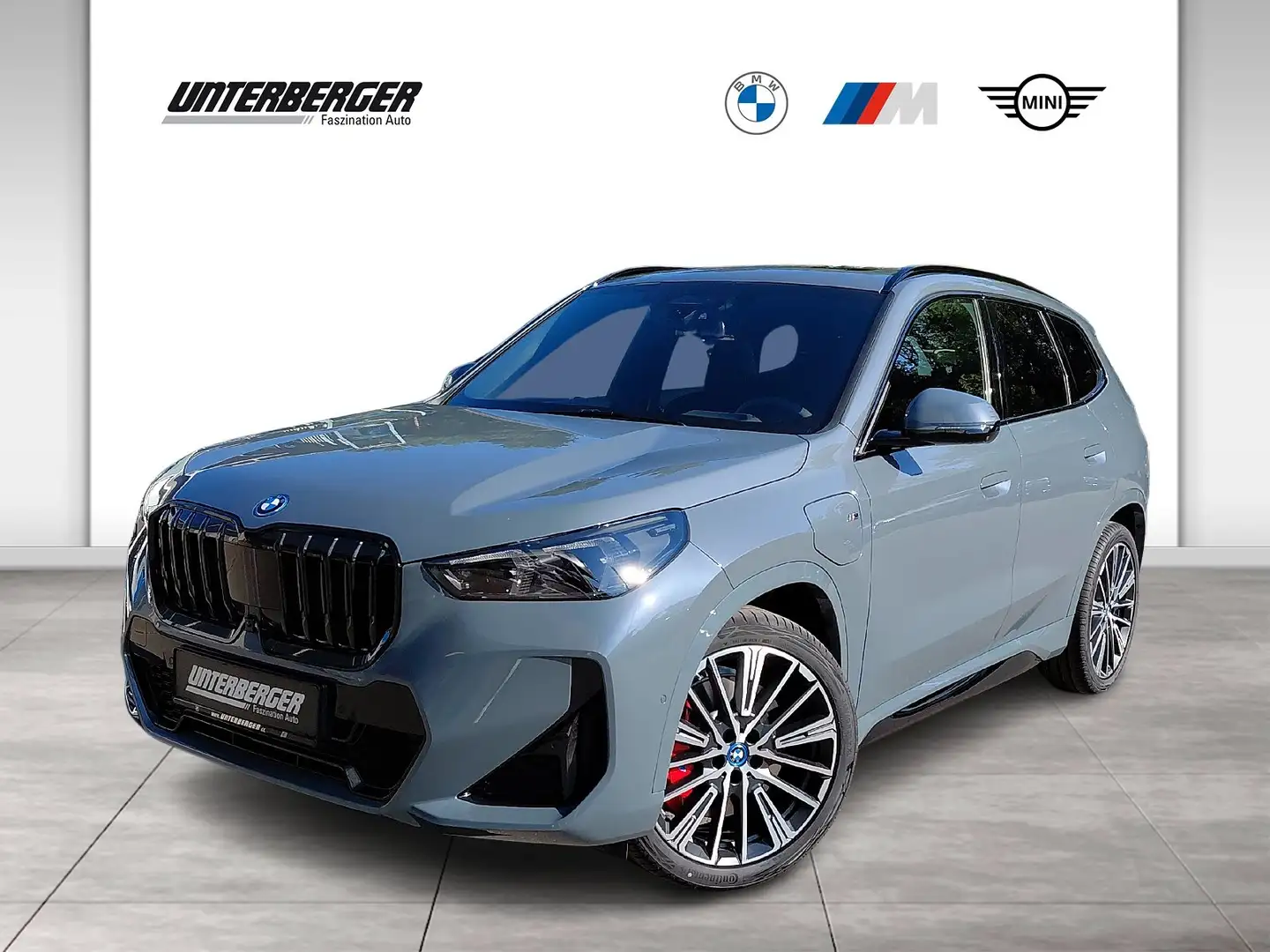 BMW X1 xDrive30e M Sportpaket Pro // Head-Up // Panorama- - 1