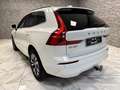 Volvo XC60 Momentum Pro Weiß - thumbnail 6