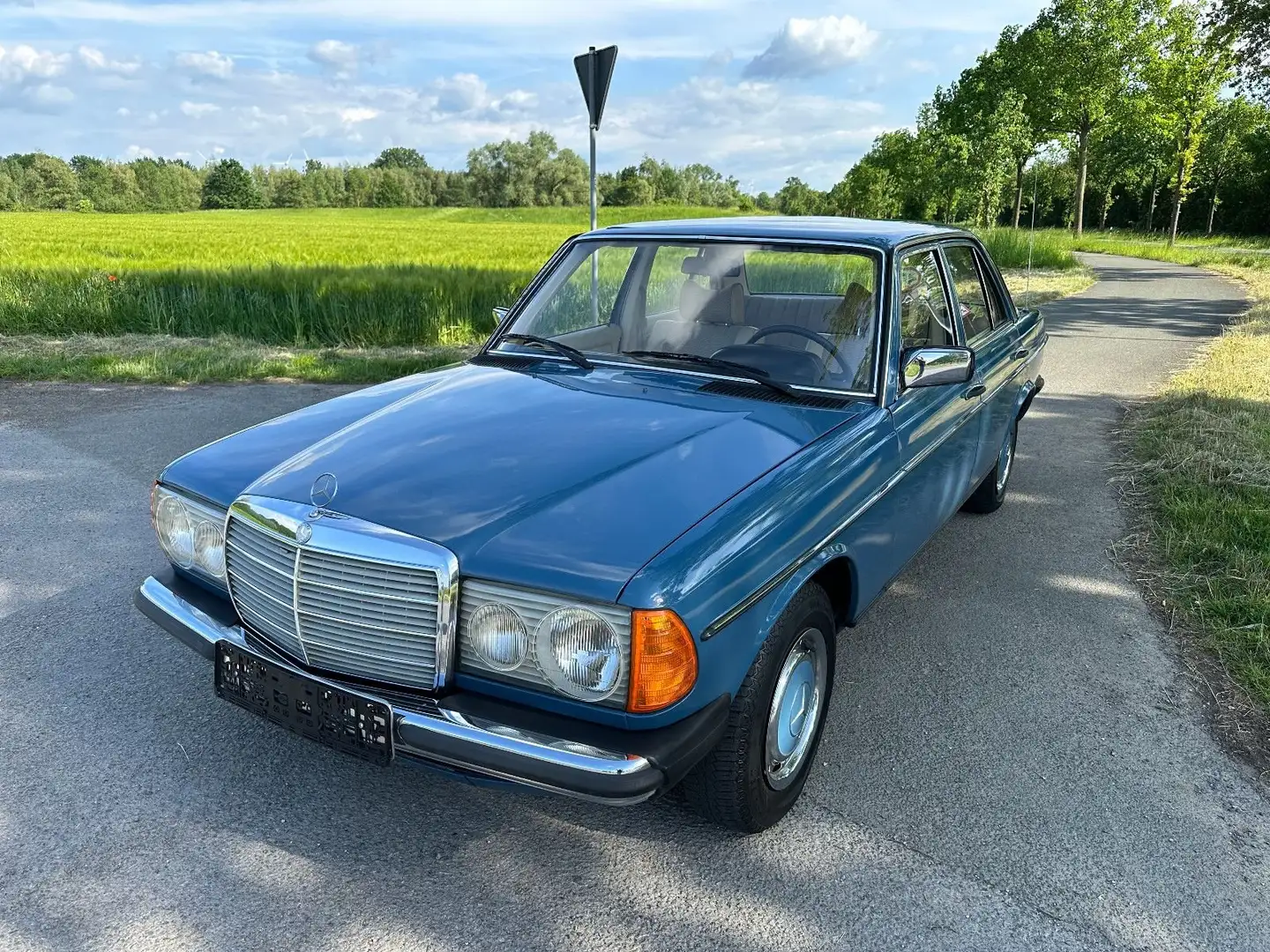 Mercedes-Benz 200 200 Bleu - 1