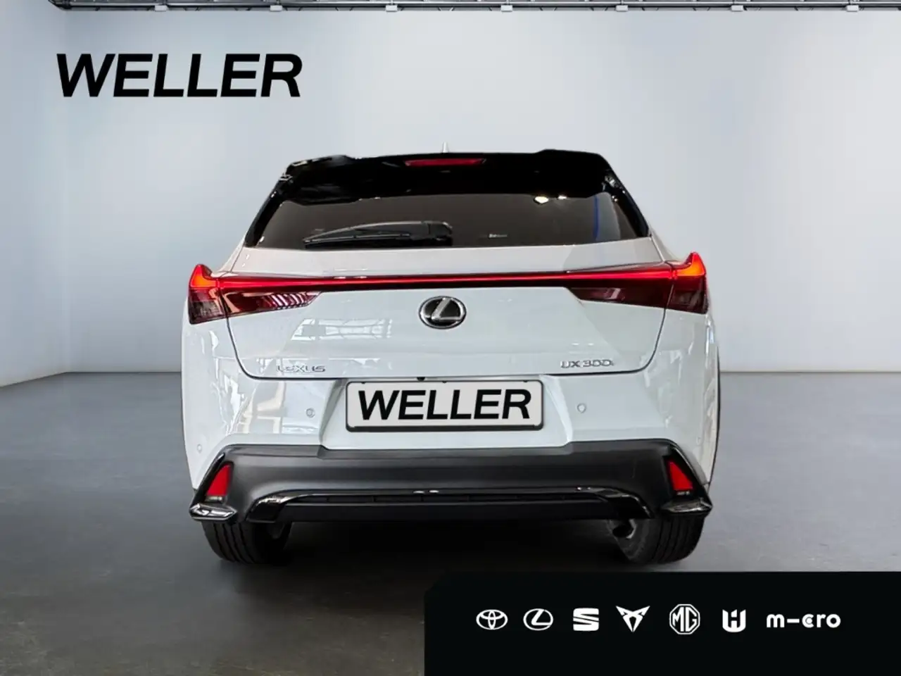 Lexus UX 300h F-SPORT Design 2,0 Automatik /Navi 12,3'' /RF Cam 6