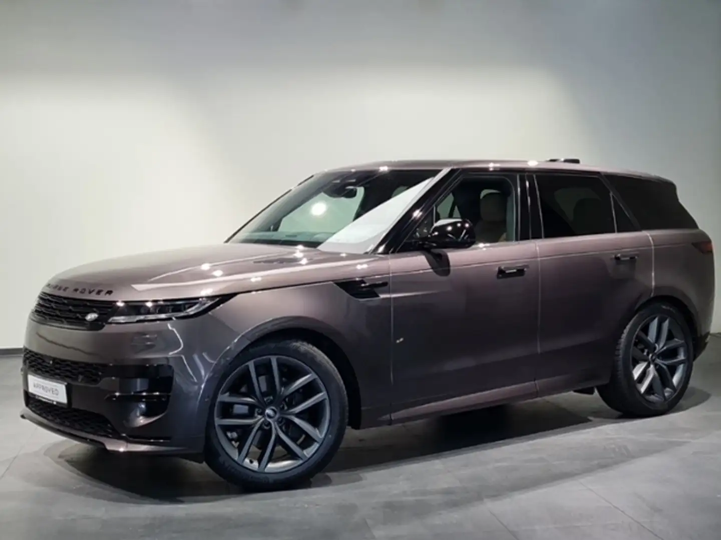 Land Rover Range Rover Sport D300 Dynamic SE Grau - 1
