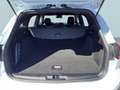 Ford Focus Turnier 1.0 EcoBoost Hybrid Aut. ST-LINE Blanco - thumbnail 10
