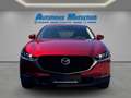 Mazda CX-30 Selection SKYACTIV-X Aut. HUD Navi Leder Memory Si Rot - thumbnail 8