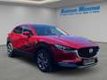 Mazda CX-30 Selection SKYACTIV-X Aut. HUD Navi Leder Memory Si Rot - thumbnail 7