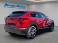 Mazda CX-30 Selection SKYACTIV-X Aut. HUD Navi Leder Memory Si Rot - thumbnail 5