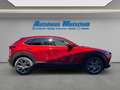 Mazda CX-30 Selection SKYACTIV-X Aut. HUD Navi Leder Memory Si Rot - thumbnail 6