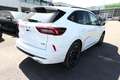 Ford Kuga ST-Line FHEV AWD Winter AHKVorb LED Kam 19Z 134... Weiß - thumbnail 3